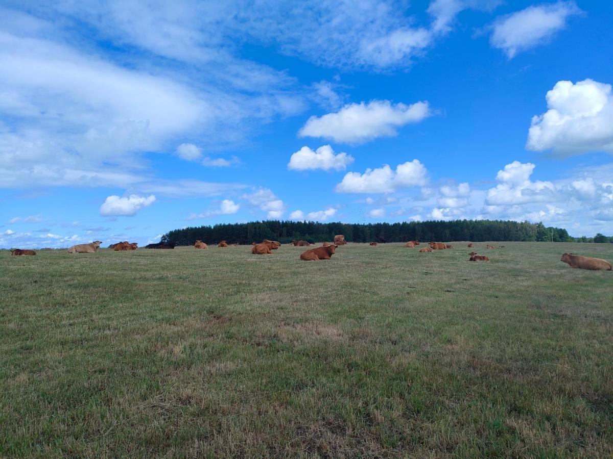 Agrogospodarstwo Halina Luc Pensionat Sasino Eksteriør billede